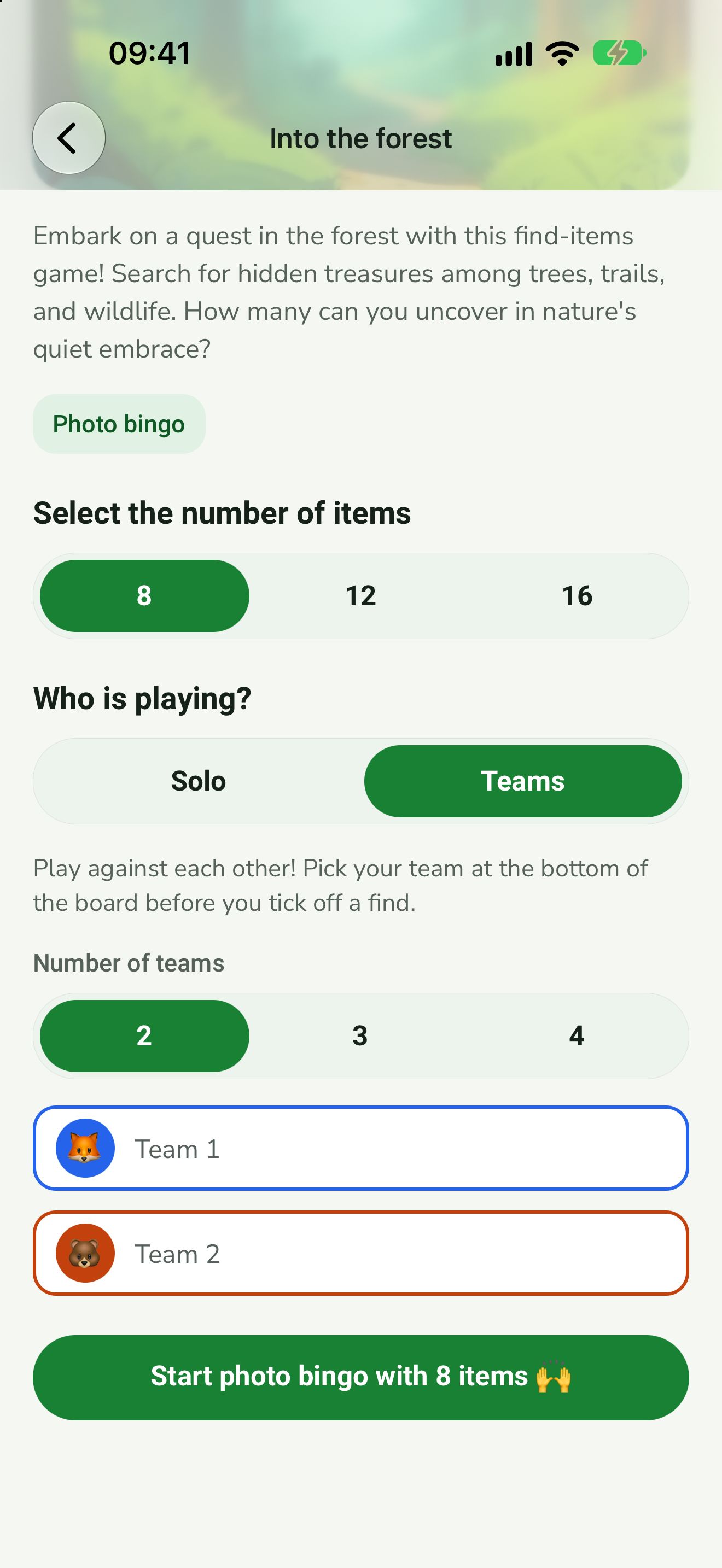 Team setup with Team 1 and Team 2